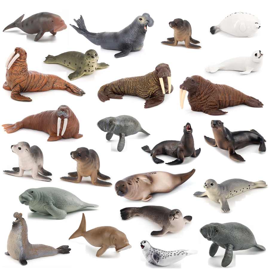 Kids Education Fun - Modelli Realistici di Dugong, Manate, Morsa,