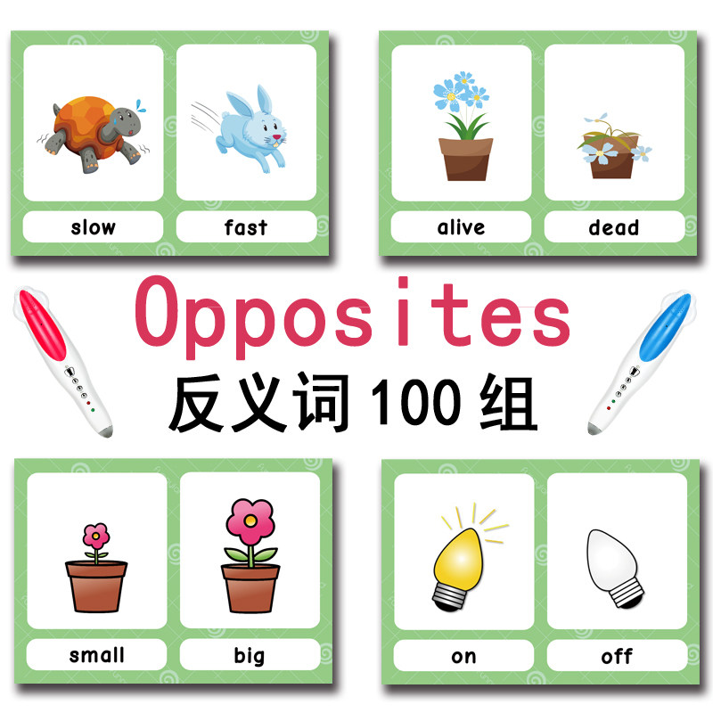 100 Gruppi di Carte Flash con  - Kids Educational Game recensione e prezzo