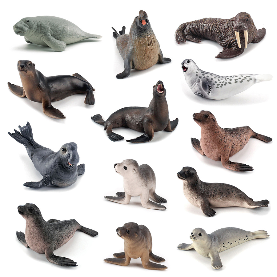 Modelli Realistici di Dugong,  - Kids Education Fun recensione e prezzo
