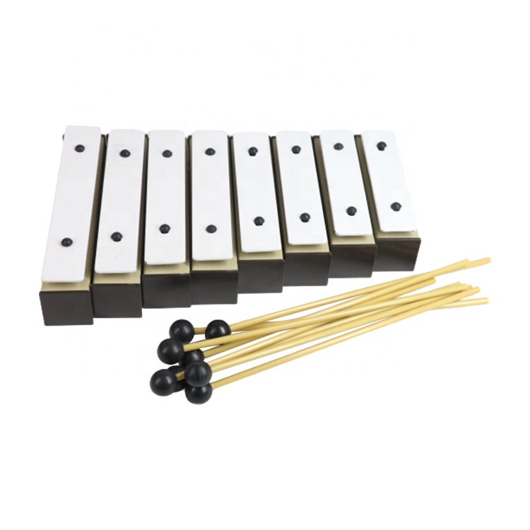 Orff Gong Xilofono Metallophon - Kids Education Help recensione e prezzo