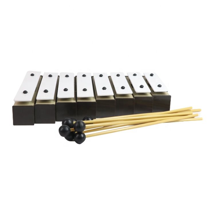 Orff Gong Xilofono Metallophon - Kids Education Help recensione e prezzo