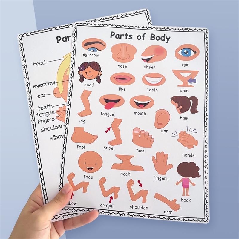Divertente grafico interattivo - Kids Educational Poster recensione e prezzo