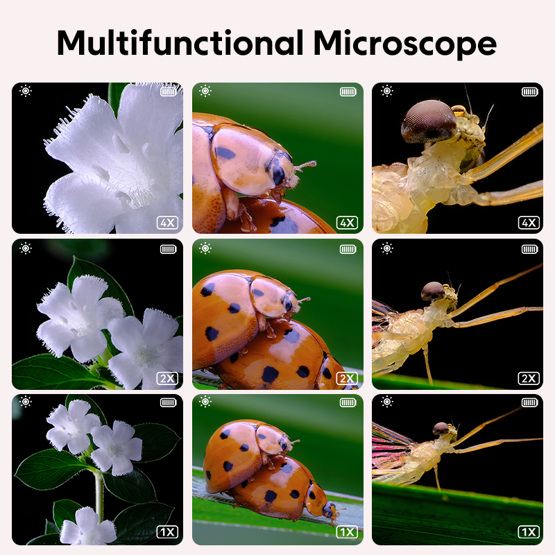 Mini microscopio ottico per ba - Kids Educational Videos recensione e prezzo